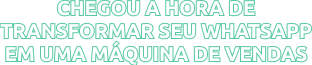 Chegou a hora de transformar seu WhatsApp em uma máquina de vendas-2