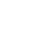 icon_cg_branco 1-2