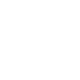 icon_cg_branco 1-2